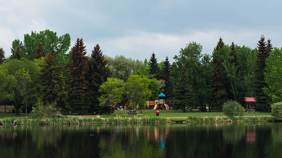 Scenery of a park in Leduc, Alberta at Fred John's Park, with the lake, green trees, and playground.