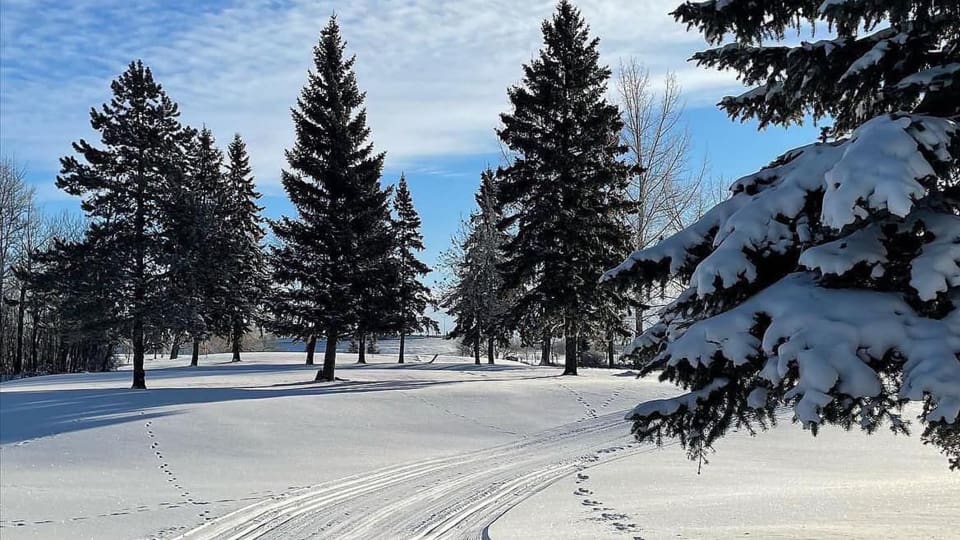 Cross-Country Skiing at the Leduc Golf Club