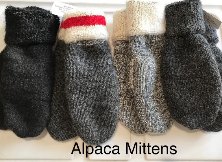 268285203 4820492751360983 1685687610524021199 n 768x559