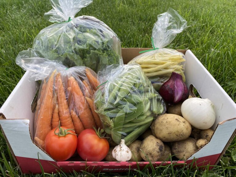 295722959 563133635291885 7438963011817358142 n 768x576