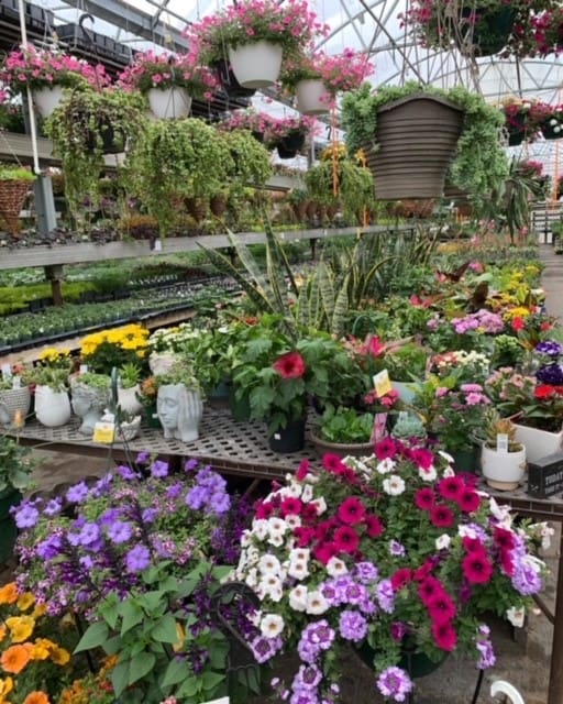 BMR Greenhouses image