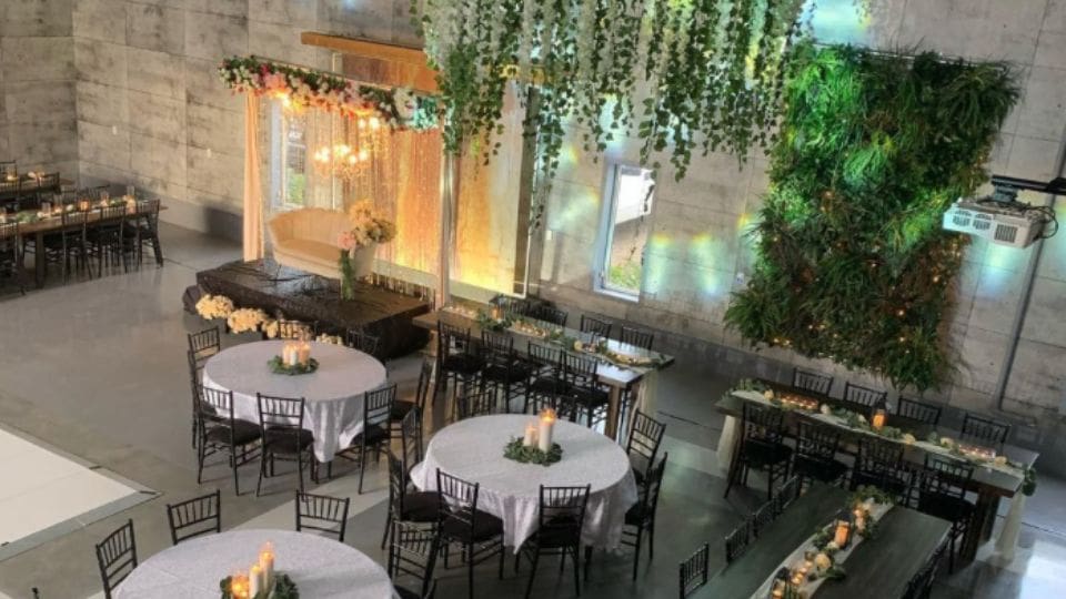 Tangled Roots open event space with greenery and modern decor.