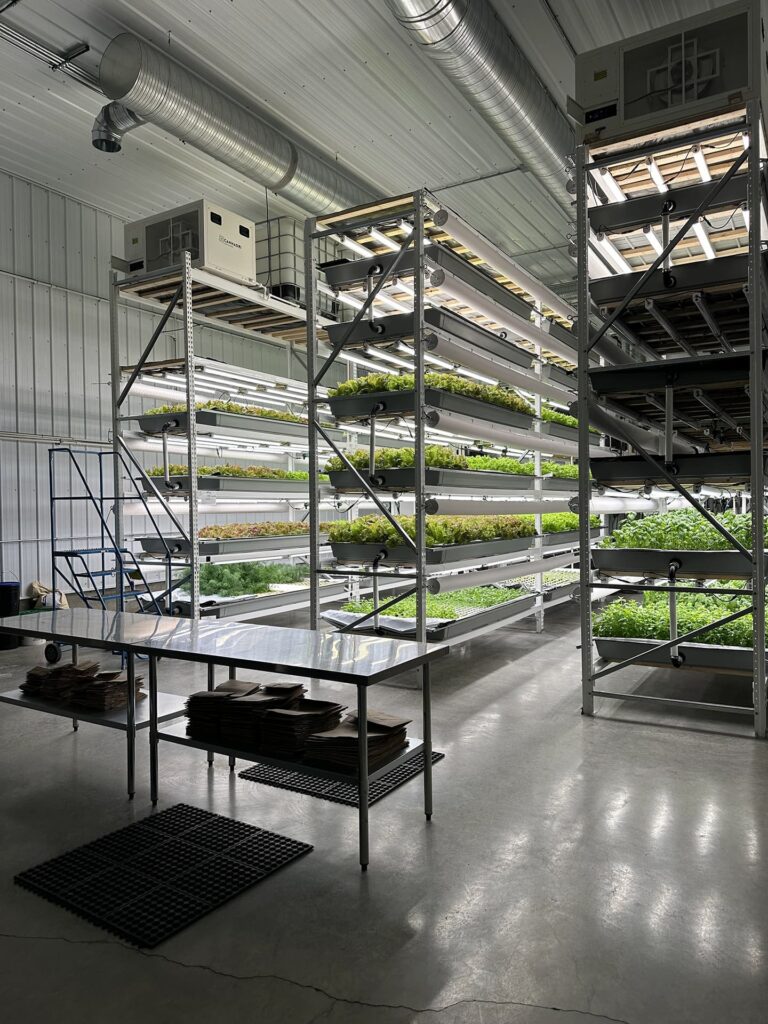 Vertical Roots Shelves 768x1024