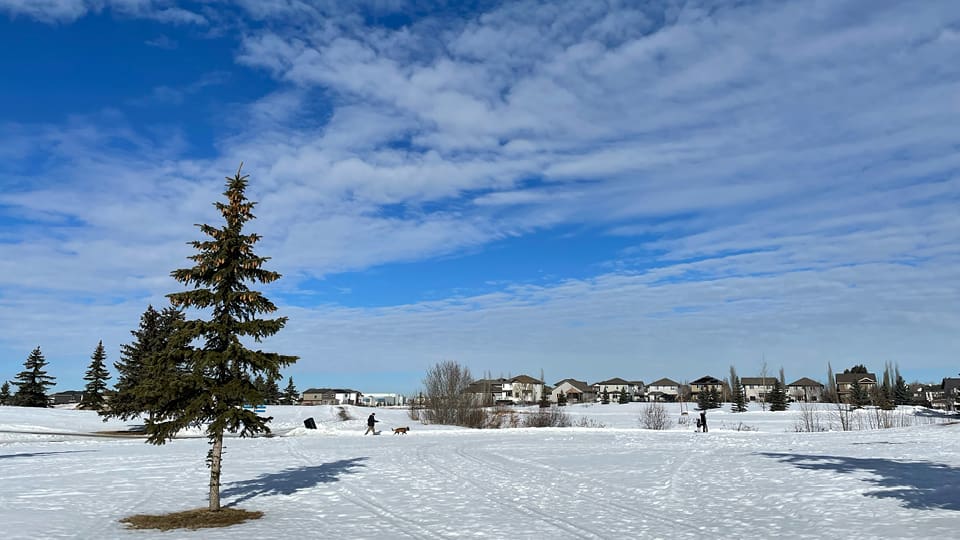 Four Seasons park trail system in the winter with people walking around the trails