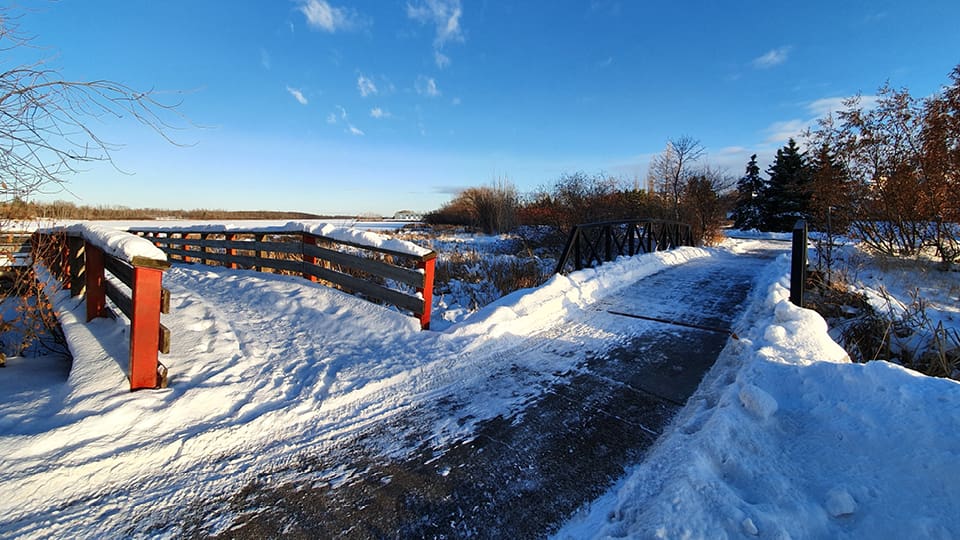 Winter paths showing Telford Lake with blue sky